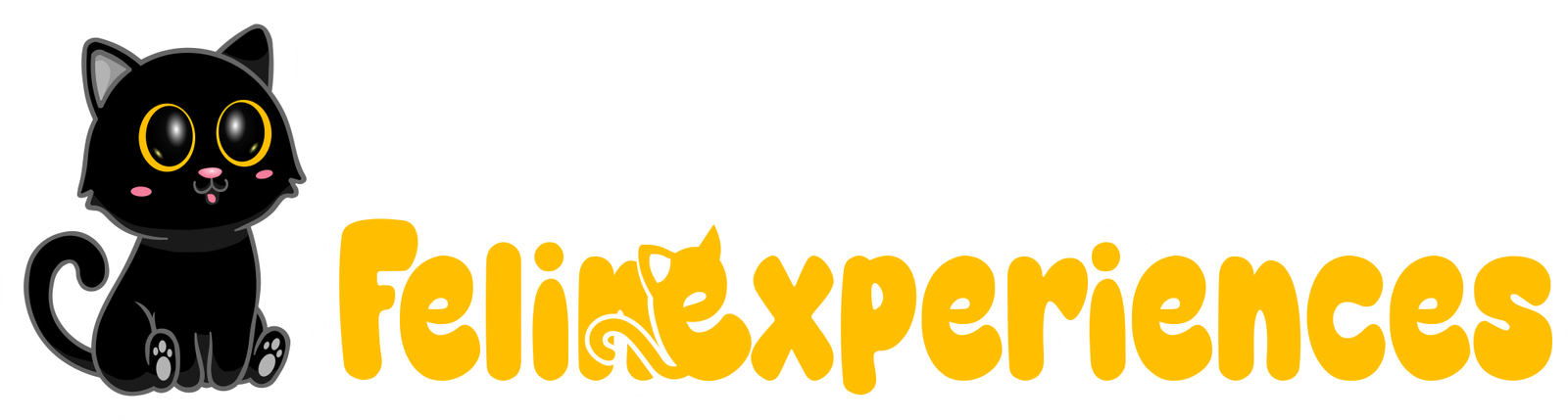 Felinexperiences